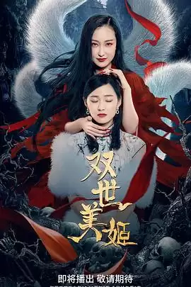 电视剧《双世美姬》剧情介绍