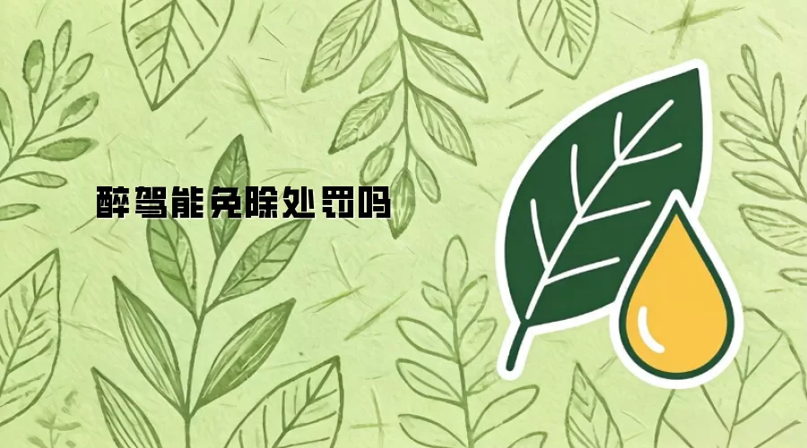 醉驾能免除处罚吗