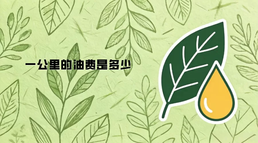 一公里的油费是多少
