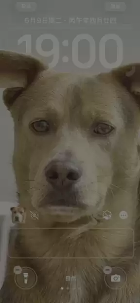 image.png image.png