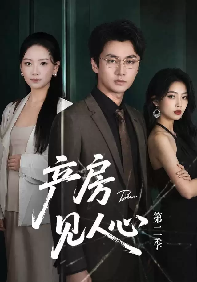 短剧《产房见人心第二季》剧情介绍