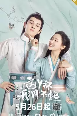 电视剧《这丫环我用不起》剧情介绍
