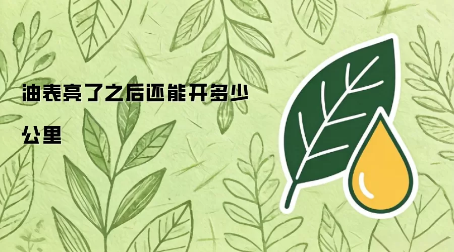 油表亮了之后还能开多少公里