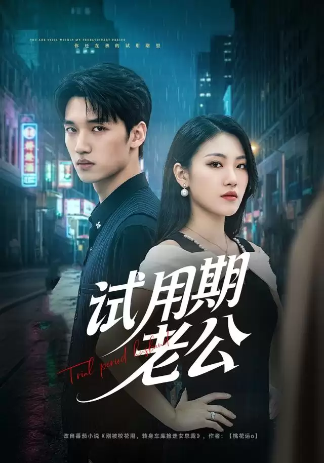 短剧《试用期老公》剧情介绍