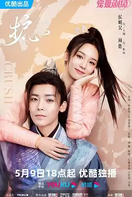 电视剧《护心》剧情介绍