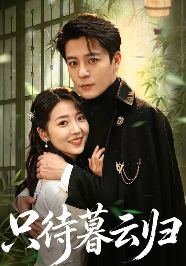 短剧《只待暮云归》剧情介绍