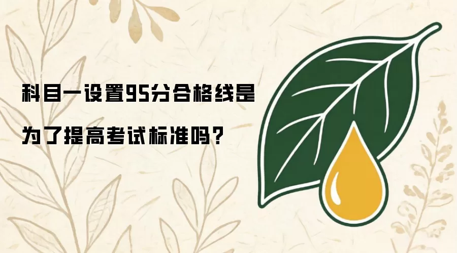 科目一设置95分合格线是为了提高考试标准吗？