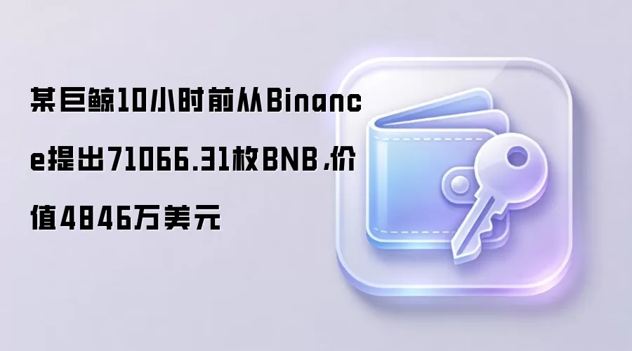 某巨鲸10小时前从Binance提出71066.31枚BNB，价值4846万美元