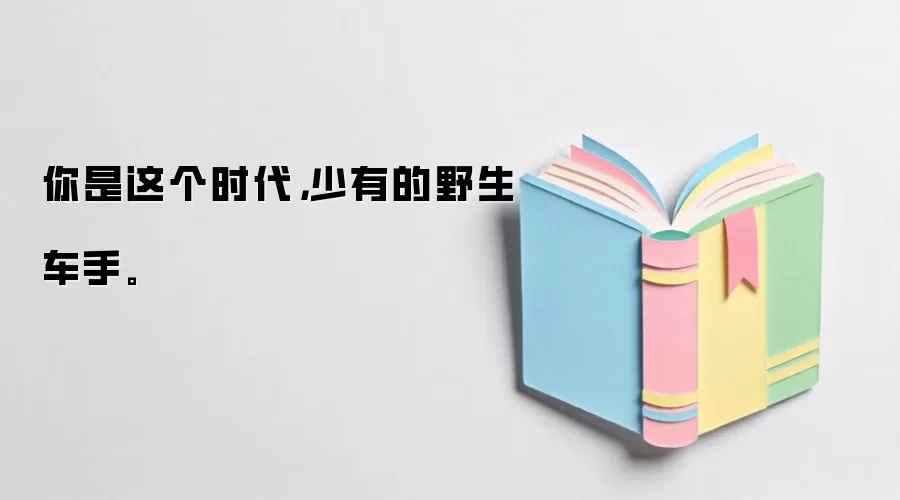 你是这个时代，少有的野生车手。