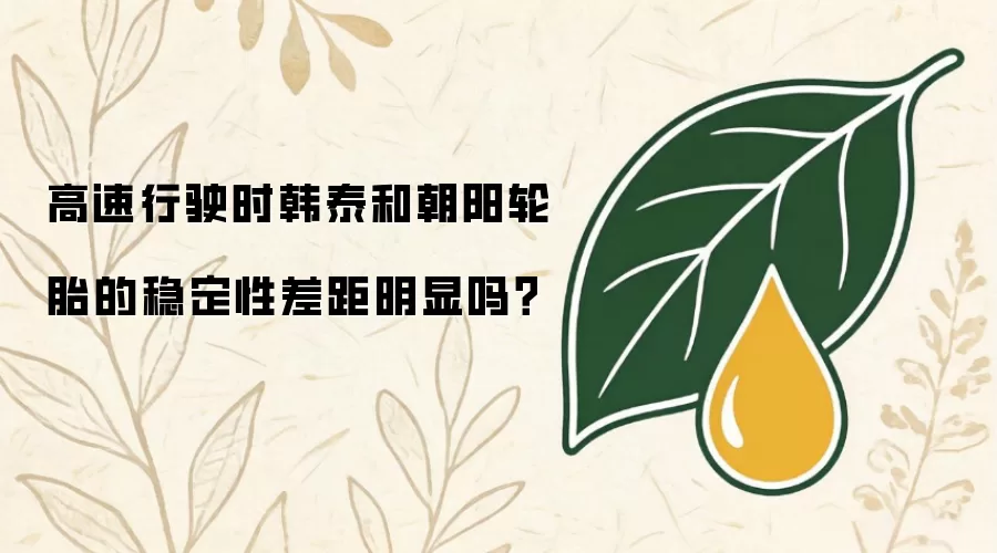 高速行驶时韩泰和朝阳轮胎的稳定性差距明显吗？