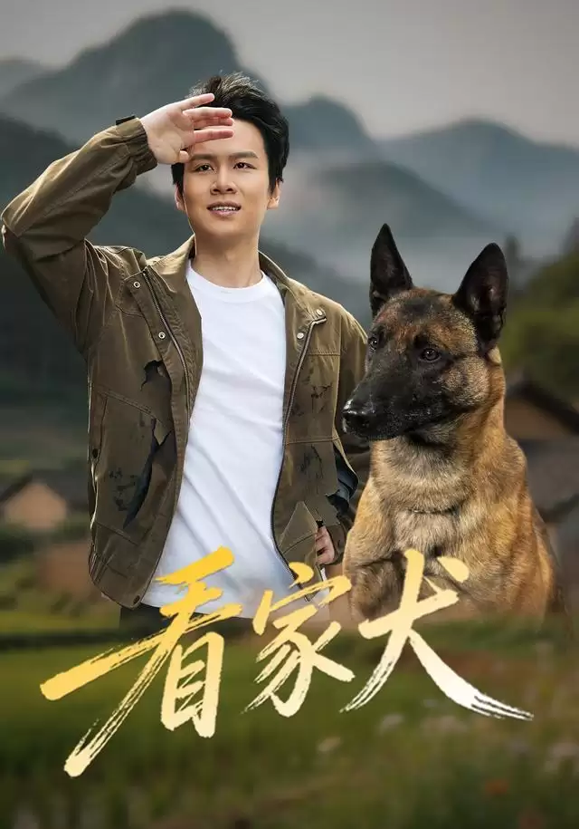 短剧《看家犬》剧情介绍