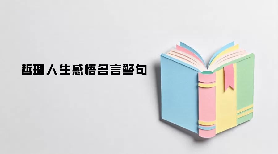 哲理人生感悟名言警句