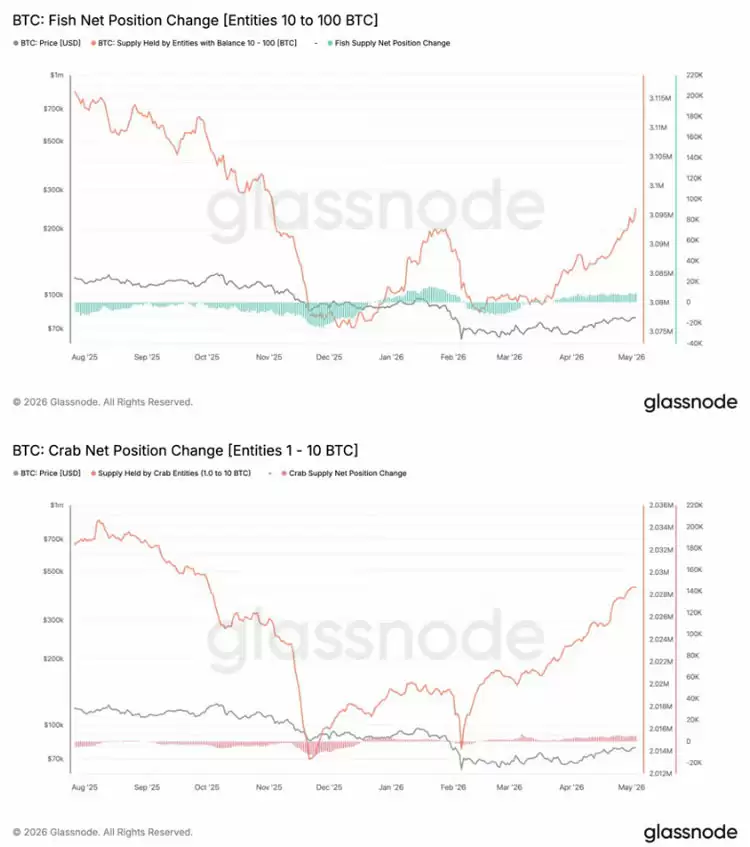 比特币（BTC）剑指9.6万美元,机构日吸纳量达每日供应量500%