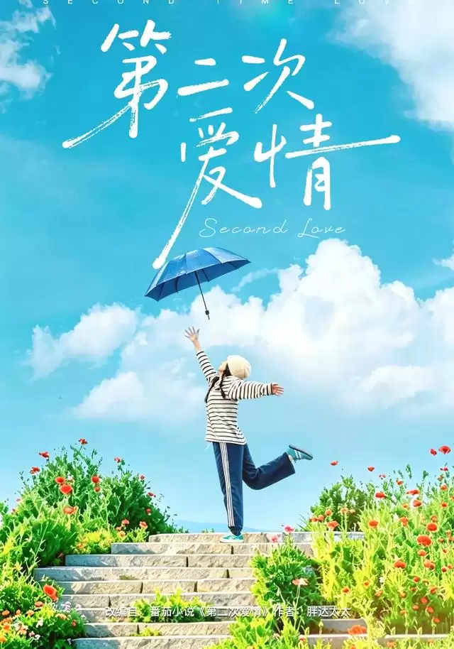 短剧《第二次爱情》剧情介绍