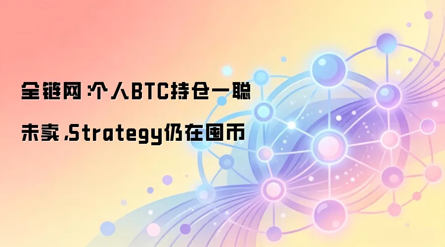 全链网：个人BTC持仓一聪未卖，Strategy仍在囤币