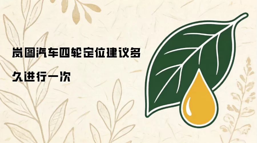 岚图汽车四轮定位建议多久进行一次