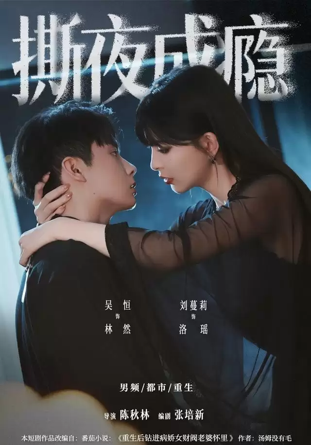 短剧《撕夜成瘾》剧情介绍