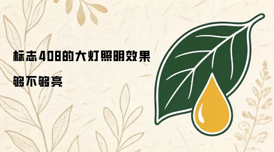 标志408的大灯照明效果够不够亮