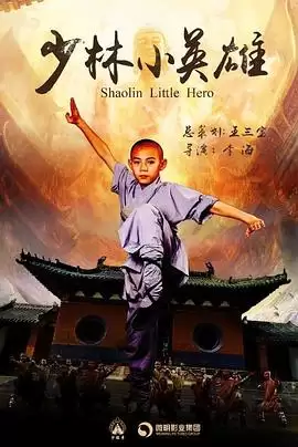 电视剧《少林小英雄》剧情介绍