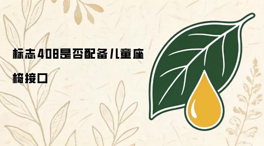 标志408是否配备儿童座椅接口