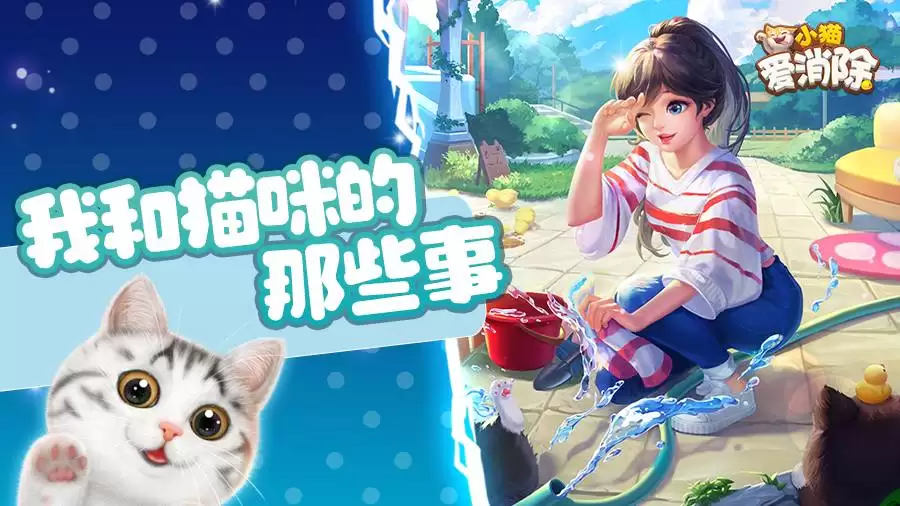 喵喵的结合猫咪属性是什么