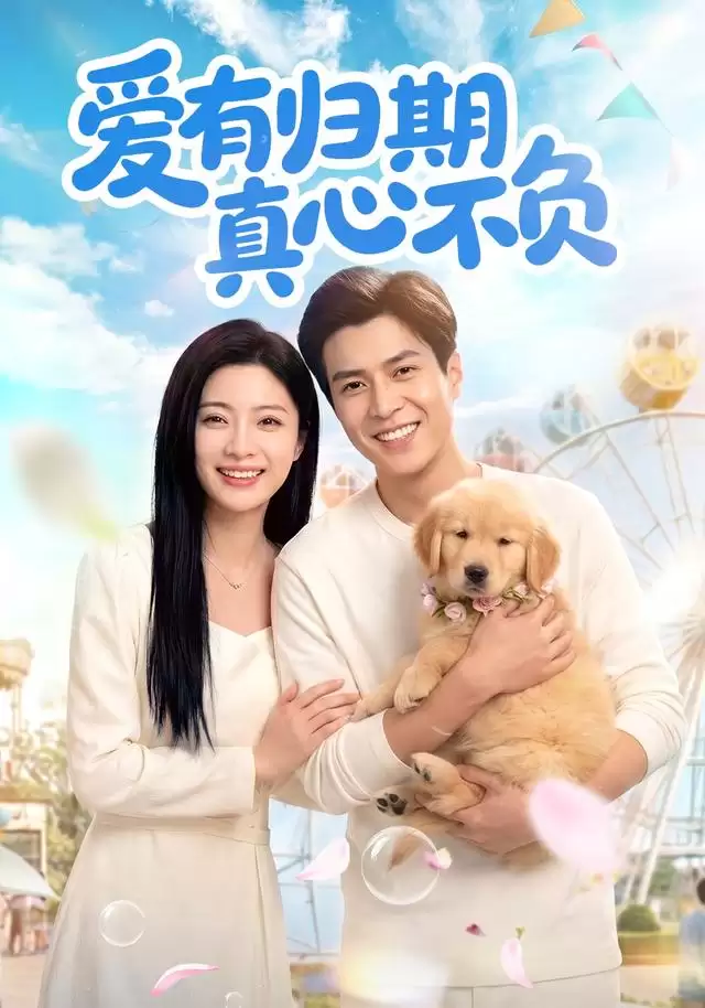 短剧《爱有归期真心不负》剧情介绍