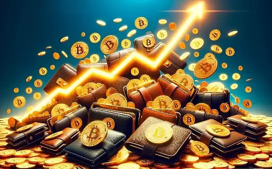 怎么查看代币资金池