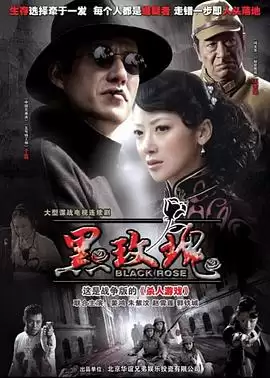电视剧《黑玫瑰》剧情介绍