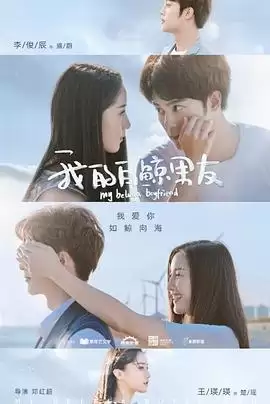 电视剧《我的白鲸男友第一季》剧情介绍