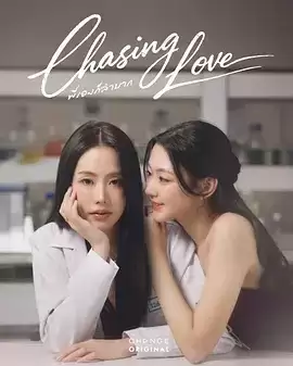 电视剧《追逐爱情》剧情介绍