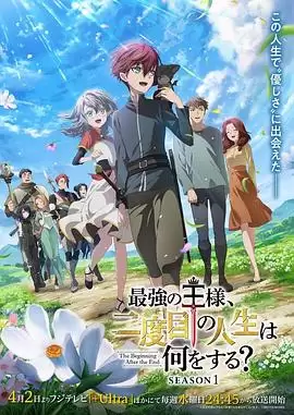 动漫《最强王者，第二人生要做什么？》剧情介绍