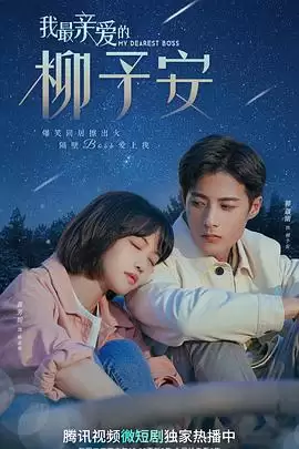 电视剧《我最亲爱的柳予安》剧情介绍