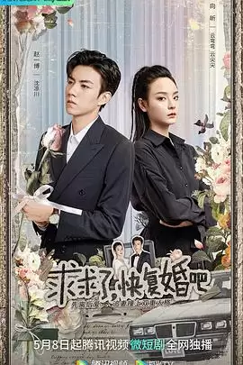 电视剧《求求了，快复婚吧》剧情介绍