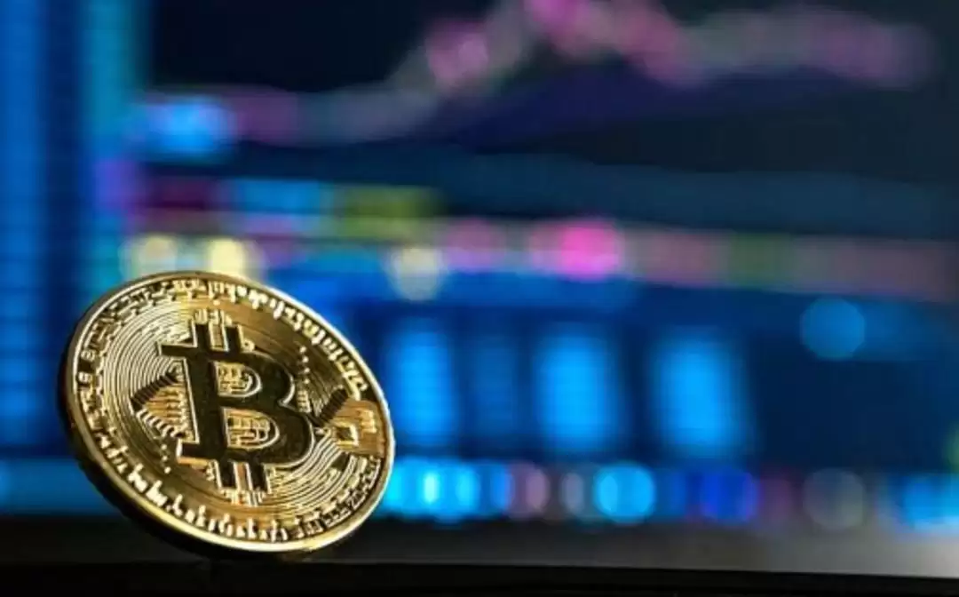 虚拟币查询平台有哪些