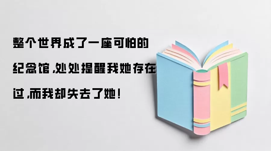 整个世界成了一座可怕的纪念馆,处处提醒我她存在过,而我却失去了她!