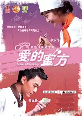 电视剧《爱的蜜方》剧情介绍