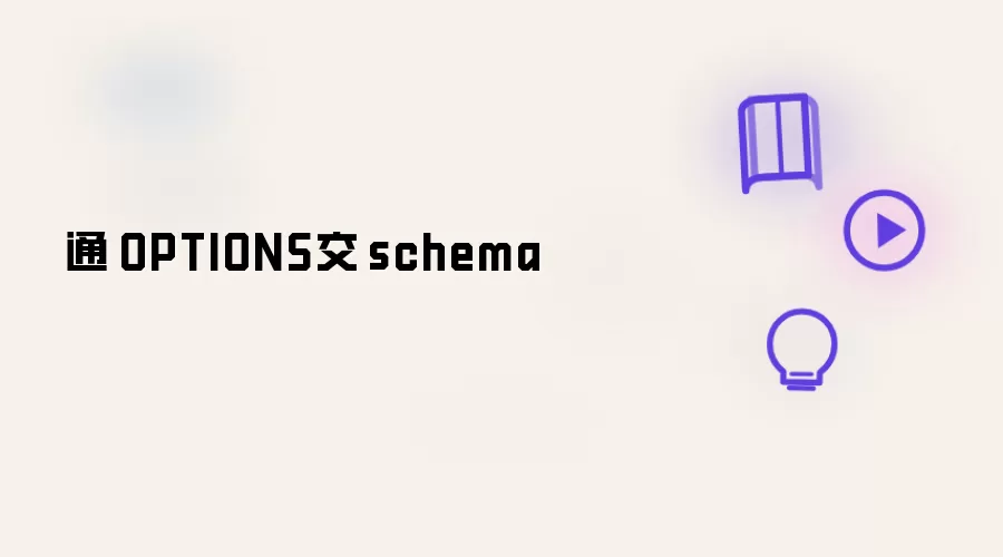 通过OPTIONS交换schema