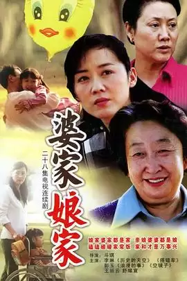 电视剧《婆家娘家》剧情介绍