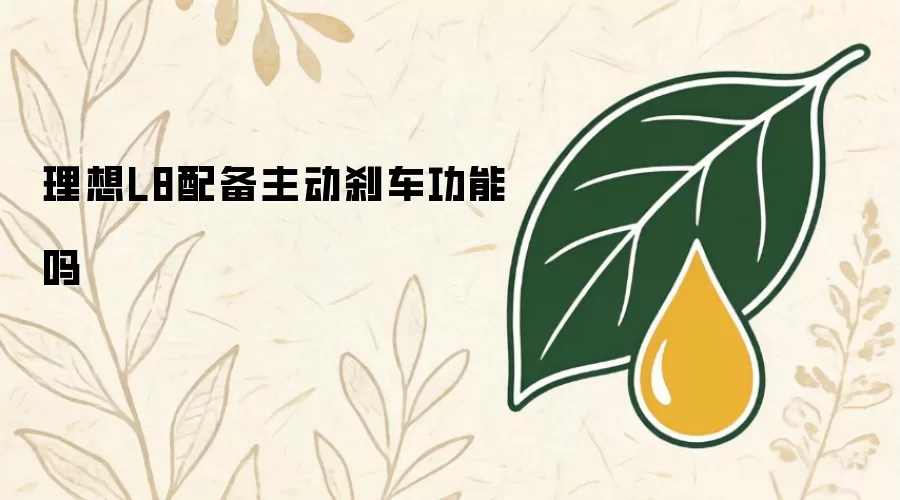 理想L8配备主动刹车功能吗
