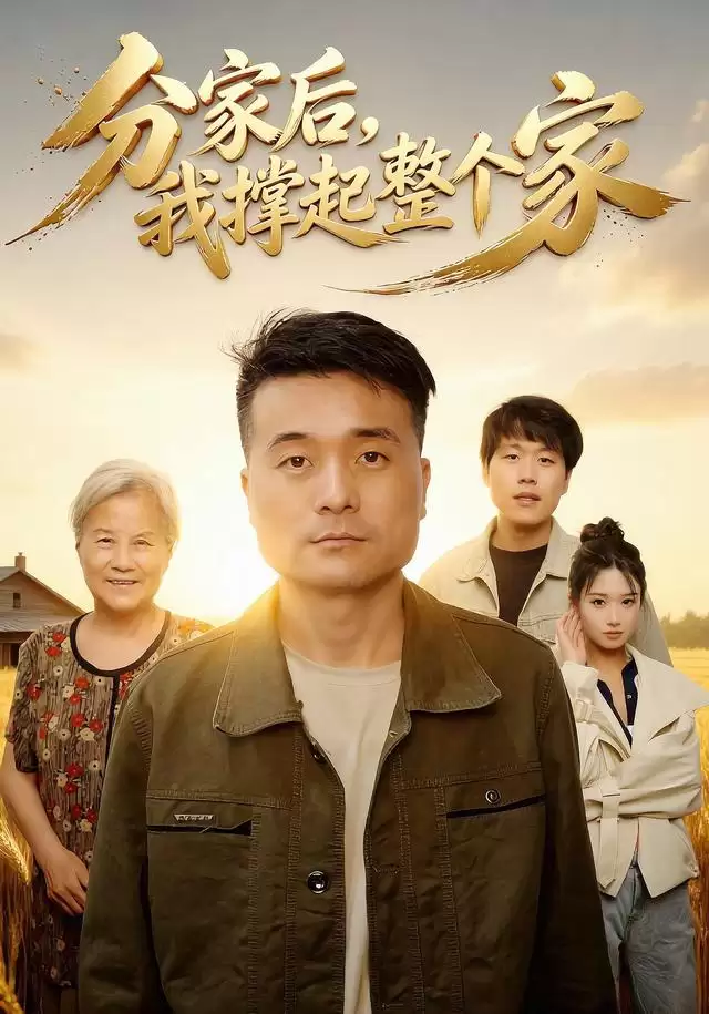 短剧《分家后我撑起整个家》剧情介绍