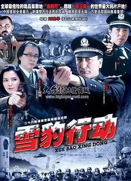 电视剧《雪豹行动》剧情介绍