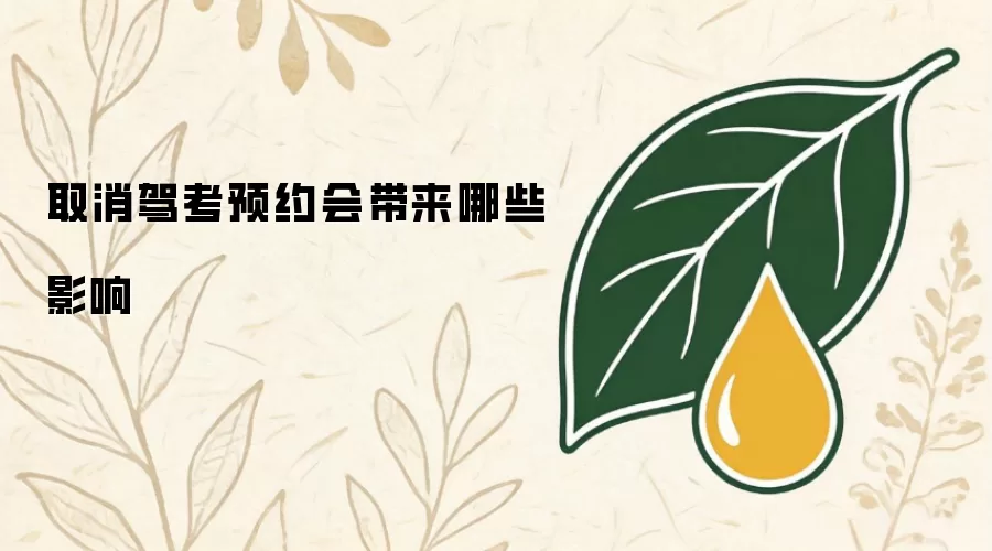 取消驾考预约会带来哪些影响