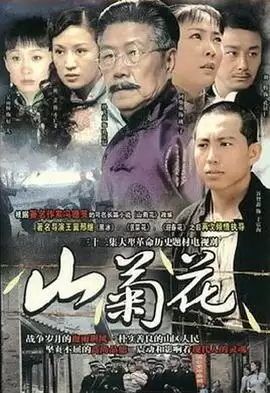 电视剧《山菊花2007》剧情介绍