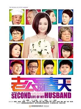 电视剧《老公的春天》剧情介绍