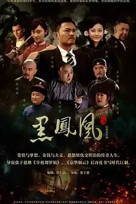 电视剧《黑凤凰》剧情介绍