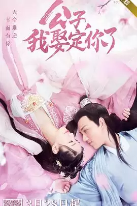 电视剧《公子，我娶定你了》