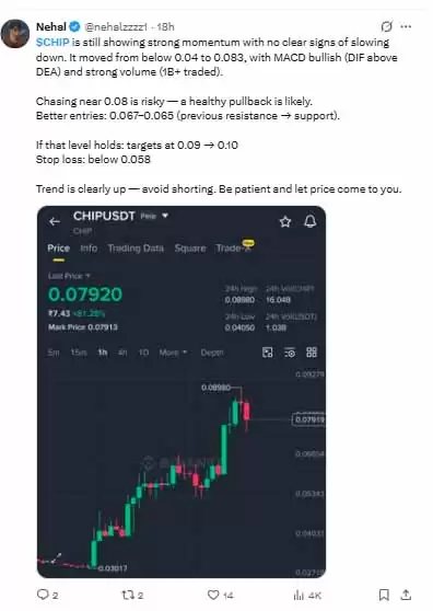CHIP币价格预测:目标价0.10美元已达,现在买入是否为时已晚？