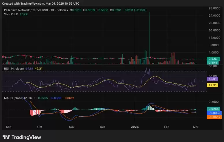 PLLD价格分析:铂金更新能否推动价格上涨？
