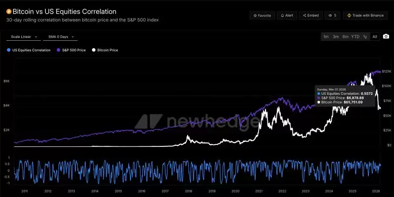 2026年3月比特币(BTC)价格走势展望:宏观阴云下的链上信号与交易主线解析