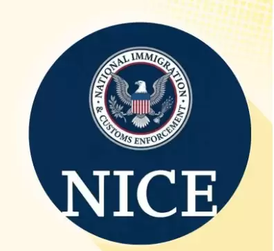 2026年NICE展望:价格下跌后会再度上涨吗？